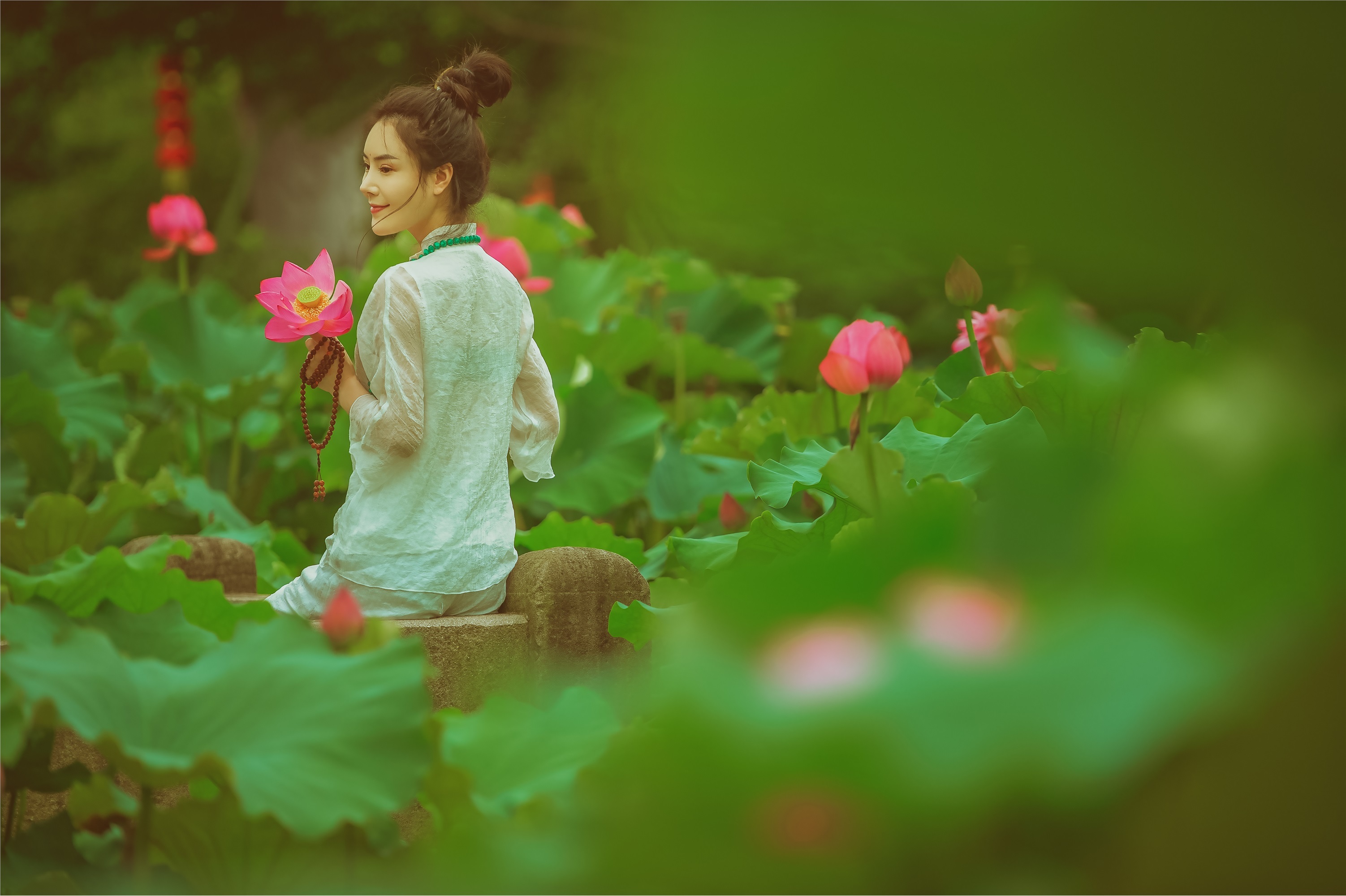 YITUYU艺图语 2021.08.14 赏荷记 颗颗树